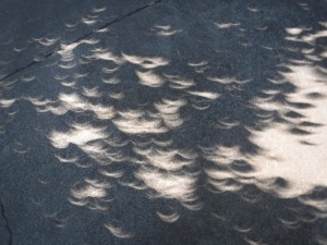 DSCF2398