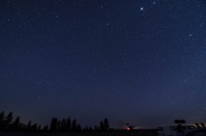 DSC_6039 