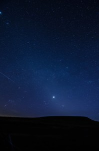 DSC_6040 