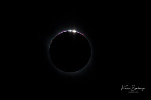 IMG_2597  